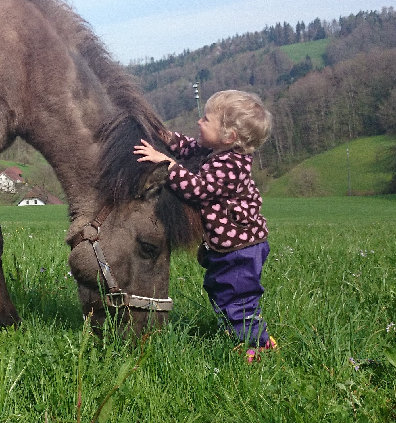 Rund um Kinder