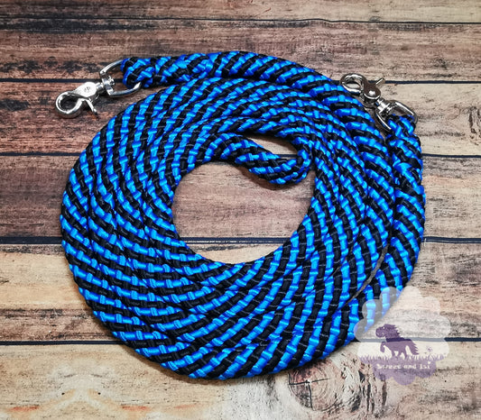 Gespleisste, farbige Zügel