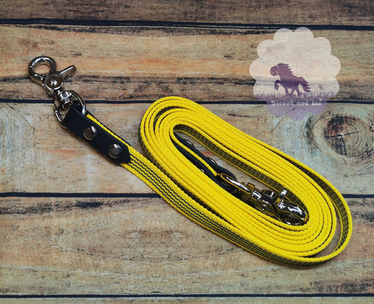 Bunte Gurtzügel mit Gummifäden - Snaps