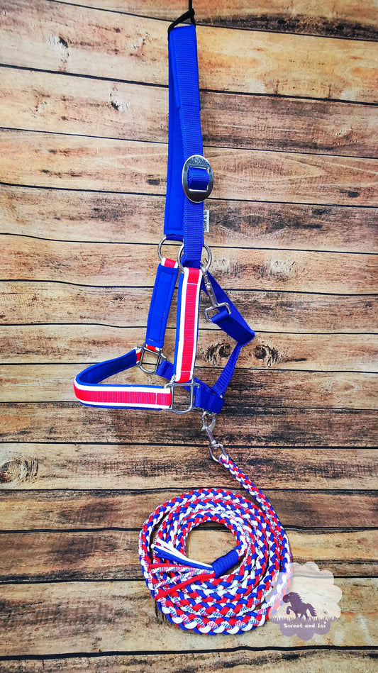 Halfter und Stricke in Islandfarben