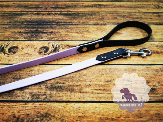 Hundeleine kurz Biothane