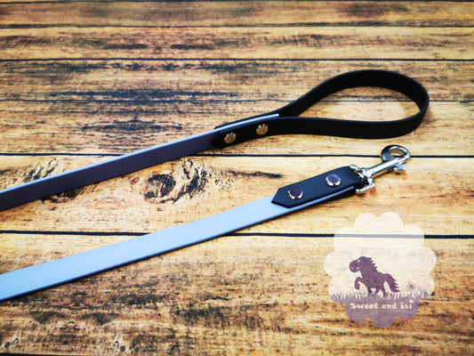 Hundeleine kurz Biothane