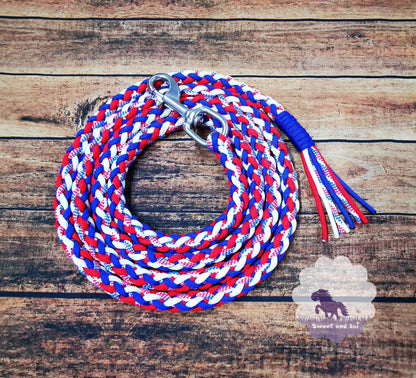 Halfter und Stricke in Islandfarben