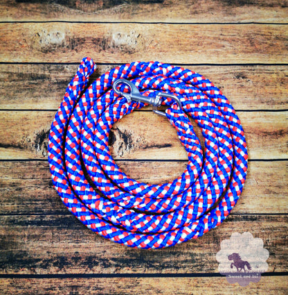 Halfter und Stricke in Islandfarben