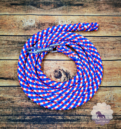 Halfter und Stricke in Islandfarben