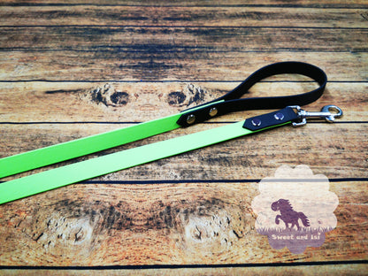 Hundeleine kurz Biothane